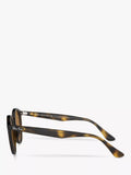 Ray-Ban round sunglasses shiny dark Havana 49mm - British product