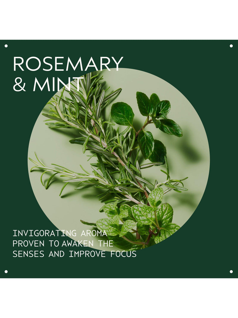 Aveda Rosemary Mint purifying shampoo 50ml (British brand)