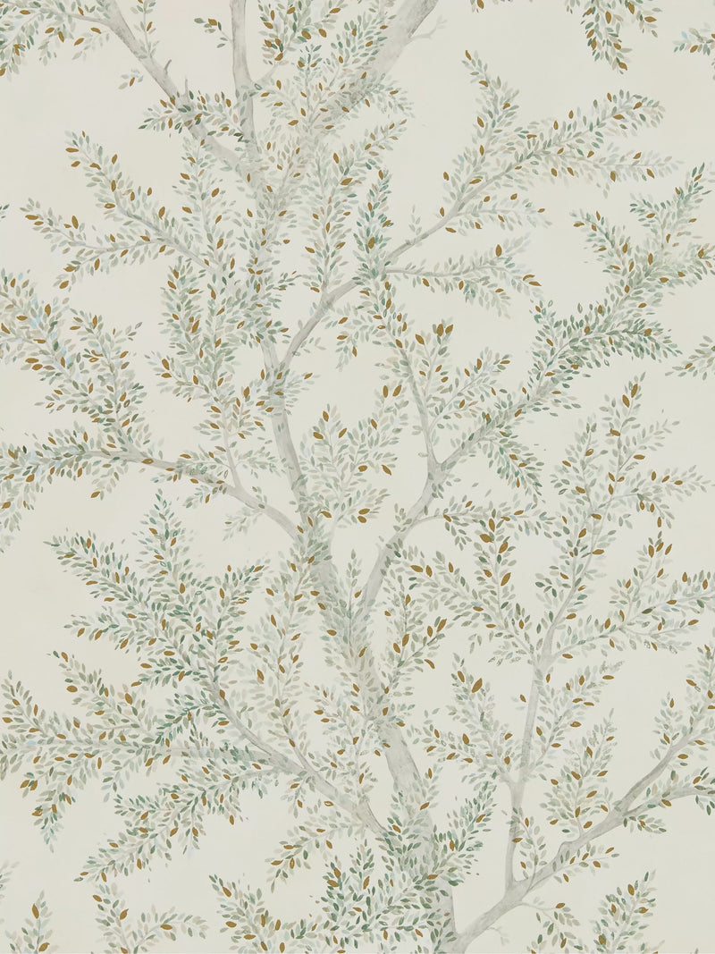 Sanderson Farthing Wood Leaves & Trees Wallpaper L10m x W52cm