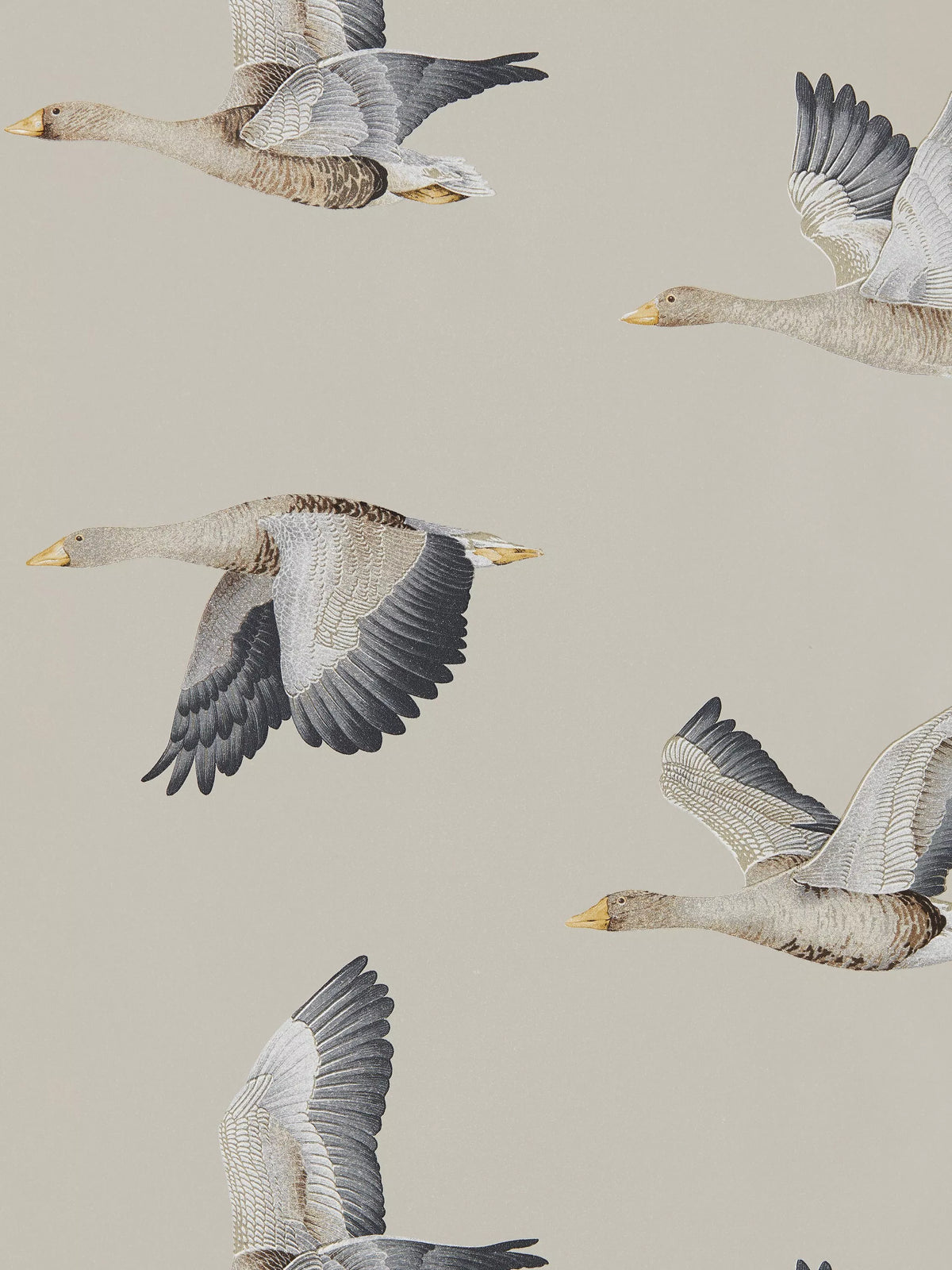 Sanderson Elysian Geese wallpaper (British brand)
