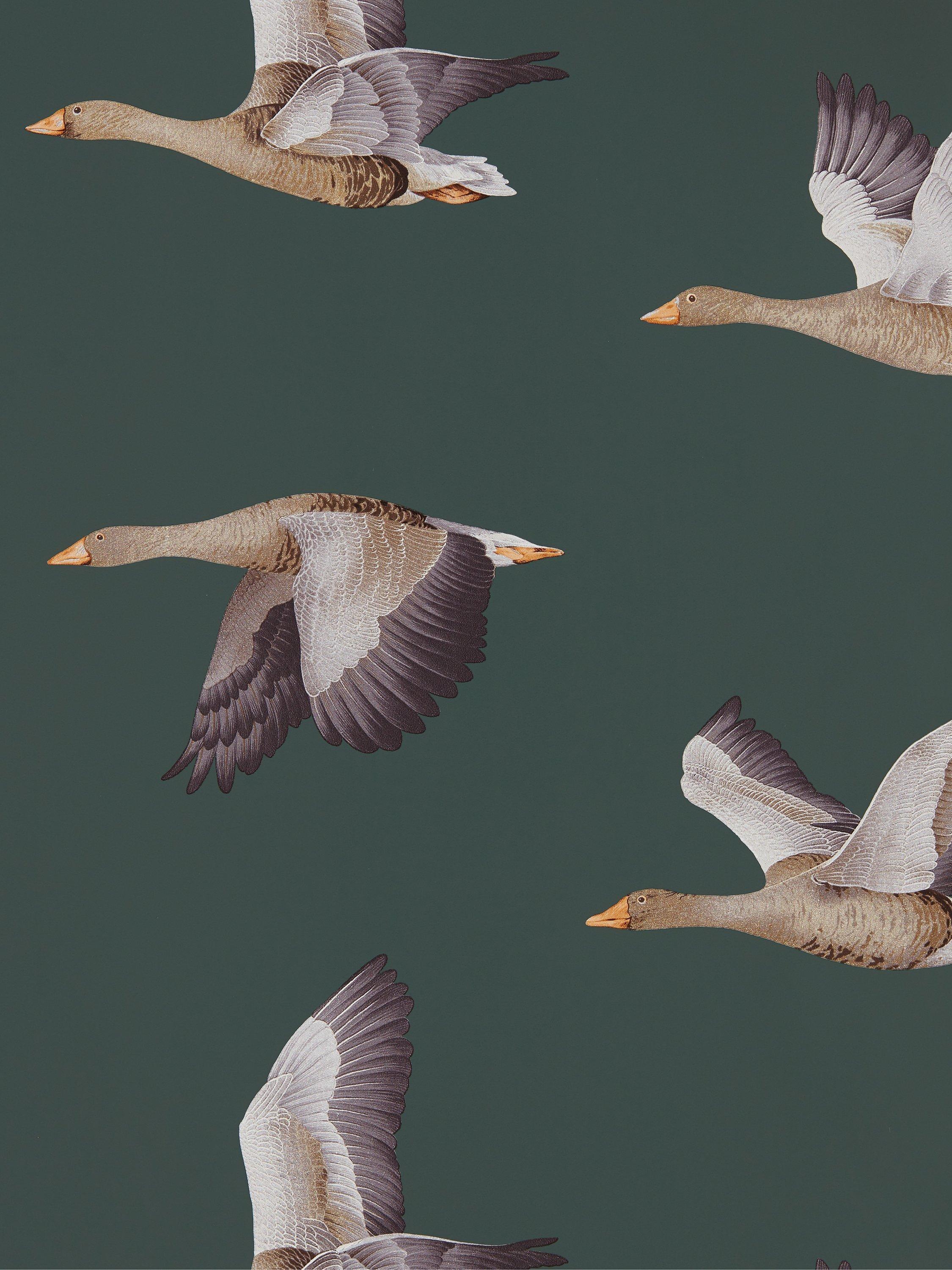 Sanderson Elysian Geese wallpaper (British brand)