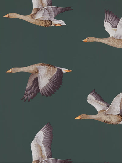 John Lewis Sanderson Elysian Geese Wallpaper- Buy online at McGrocer