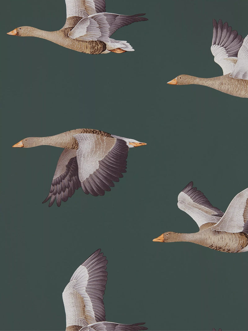 Sanderson Elysian Geese wallpaper (British brand)