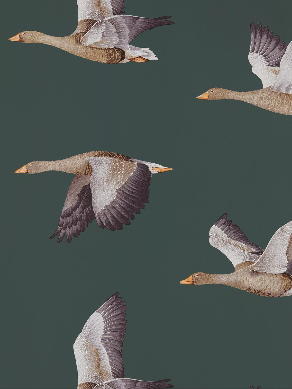 Sanderson Elysian Geese wallpaper (British brand)