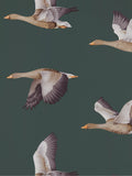 Papier peint Sanderson Elysian Geese (marque britannique)