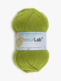 West Yorkshire Spinners ColourLab DK Knitting Yarn 100g