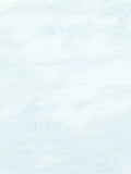 Villa Nova Horizon Sky wallpaper 10m x 52cm (British brand)