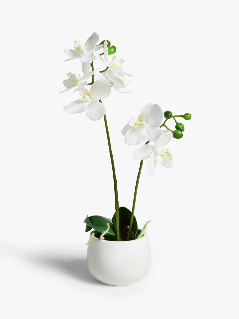 John Lewis Artificial Small White Orchid in Ceramic Pot