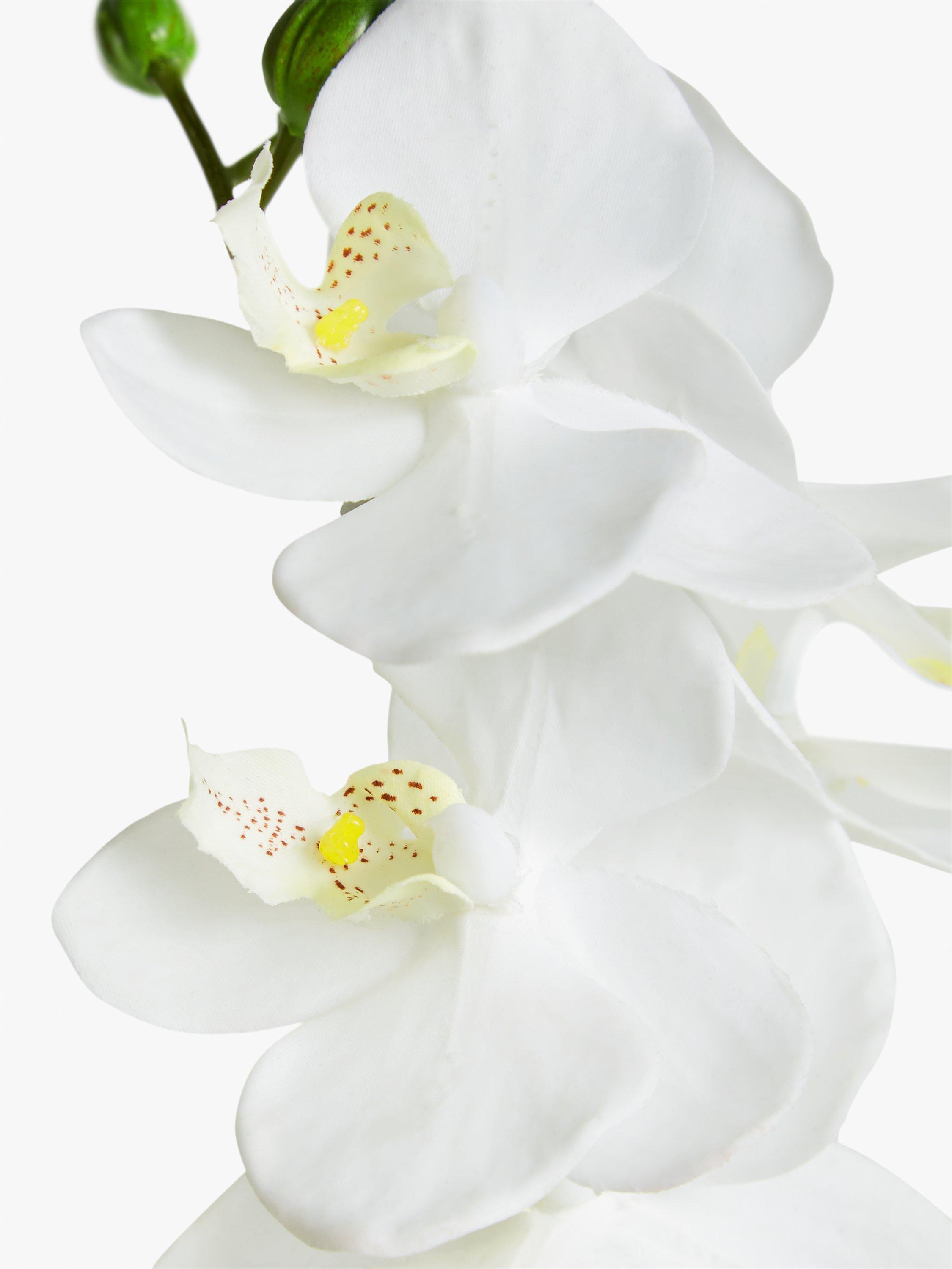 John Lewis artificial small white orchid in ceramic pot, UK version