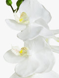 John Lewis artificial small white orchid in ceramic pot, UK version