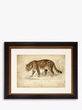 Brookpace Lascelles 'Jaguar' Framed Print & Mount, 46 x 55cm, Brown