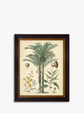 Brookpace Fruitful Palm I framed print 51 x 41cm - British product