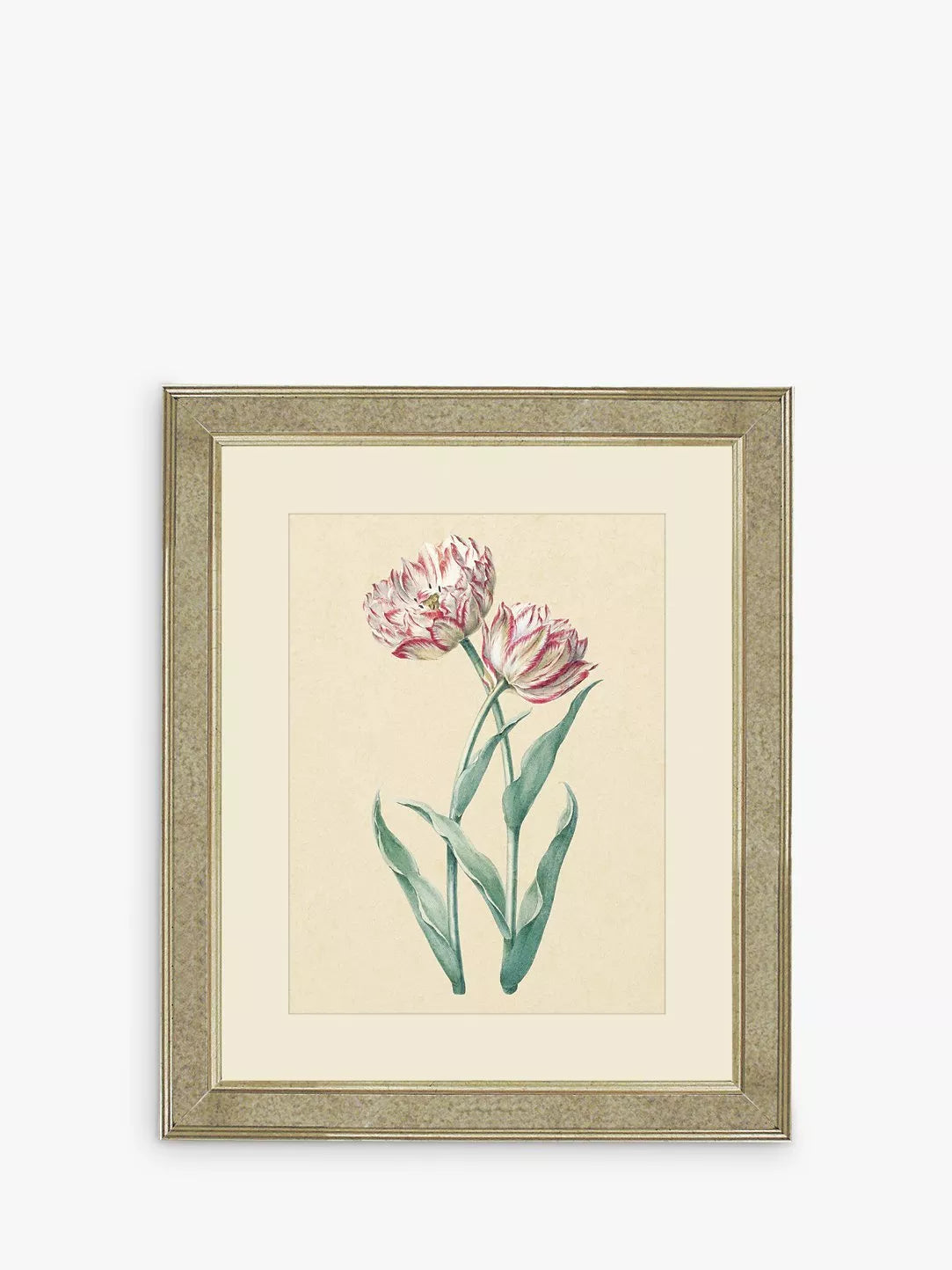 Brookpace Lascelles framed print Tulips I 60x50cm, UK version