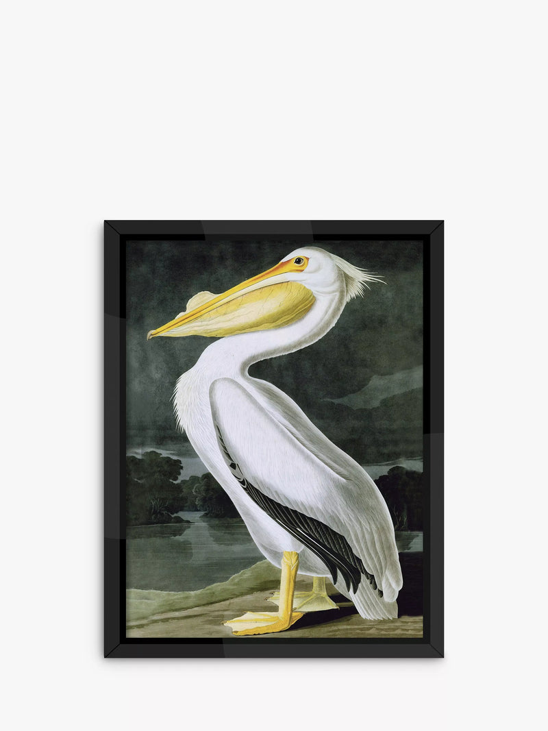 Brookpace Lascelles pelican illustration framed print 86x66cm (British brand)