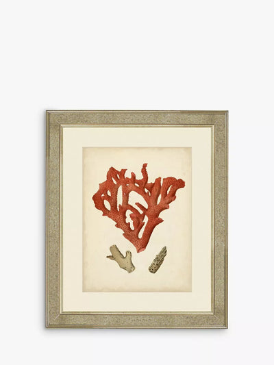 Brookpace Lascelles Red Coral II gerahmter Druck und Passepartout 60 x 50 cm von John Lewis – Jetzt online bei McGrocer kaufen