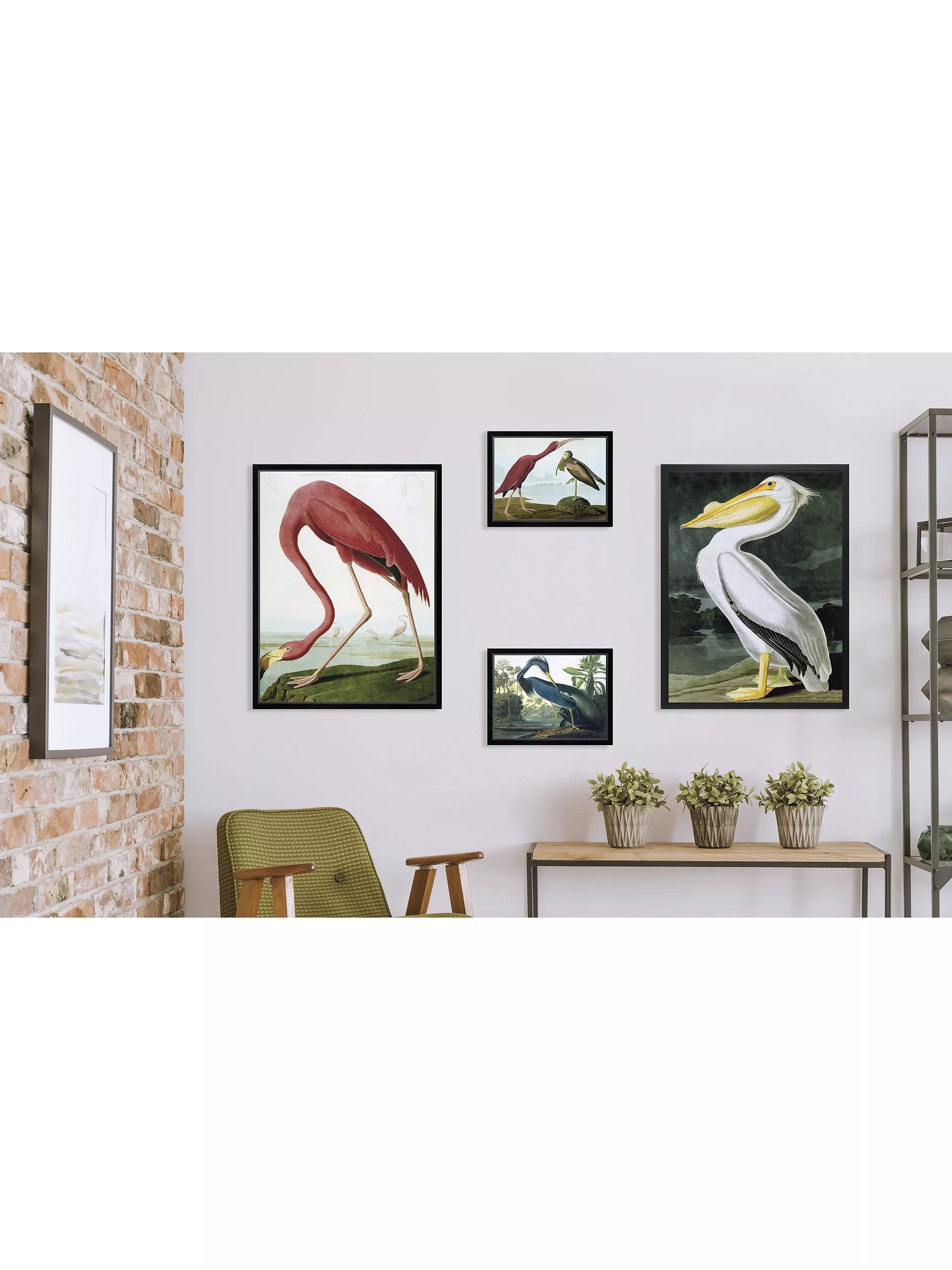 Brookpace Lascelles Audubon tropical bird framed print 56x46cm, UK version