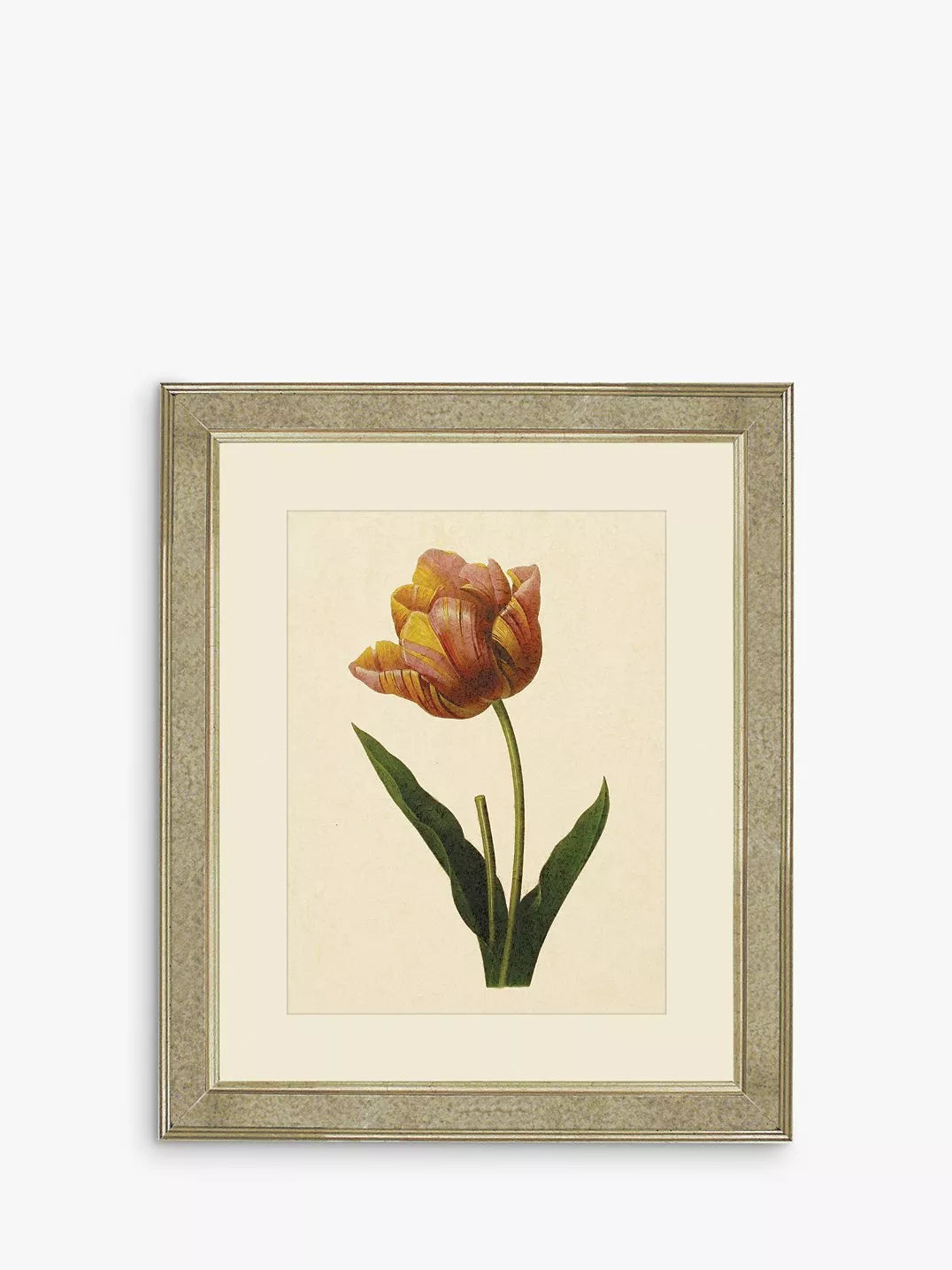 Brookpace Lascelles framed tulips print 60x50cm (British brand)