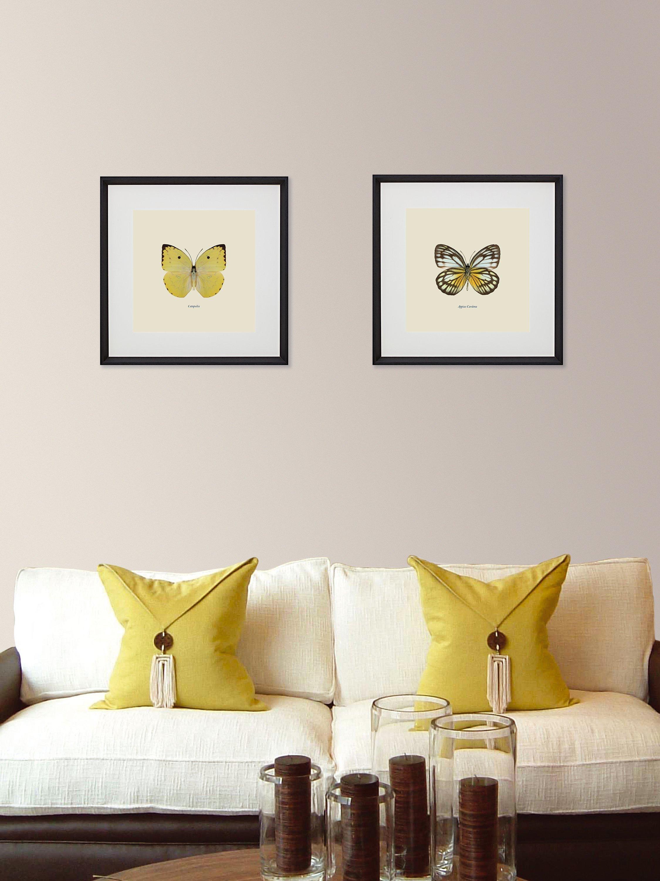 Brookpace Lascelles butterfly framed print 45.5cm, imported from the UK