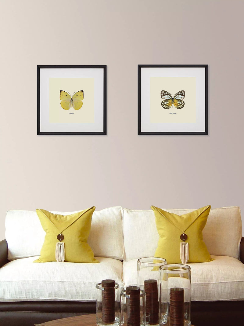 Brookpace Lascelles butterfly framed print 45.5cm, imported from the UK