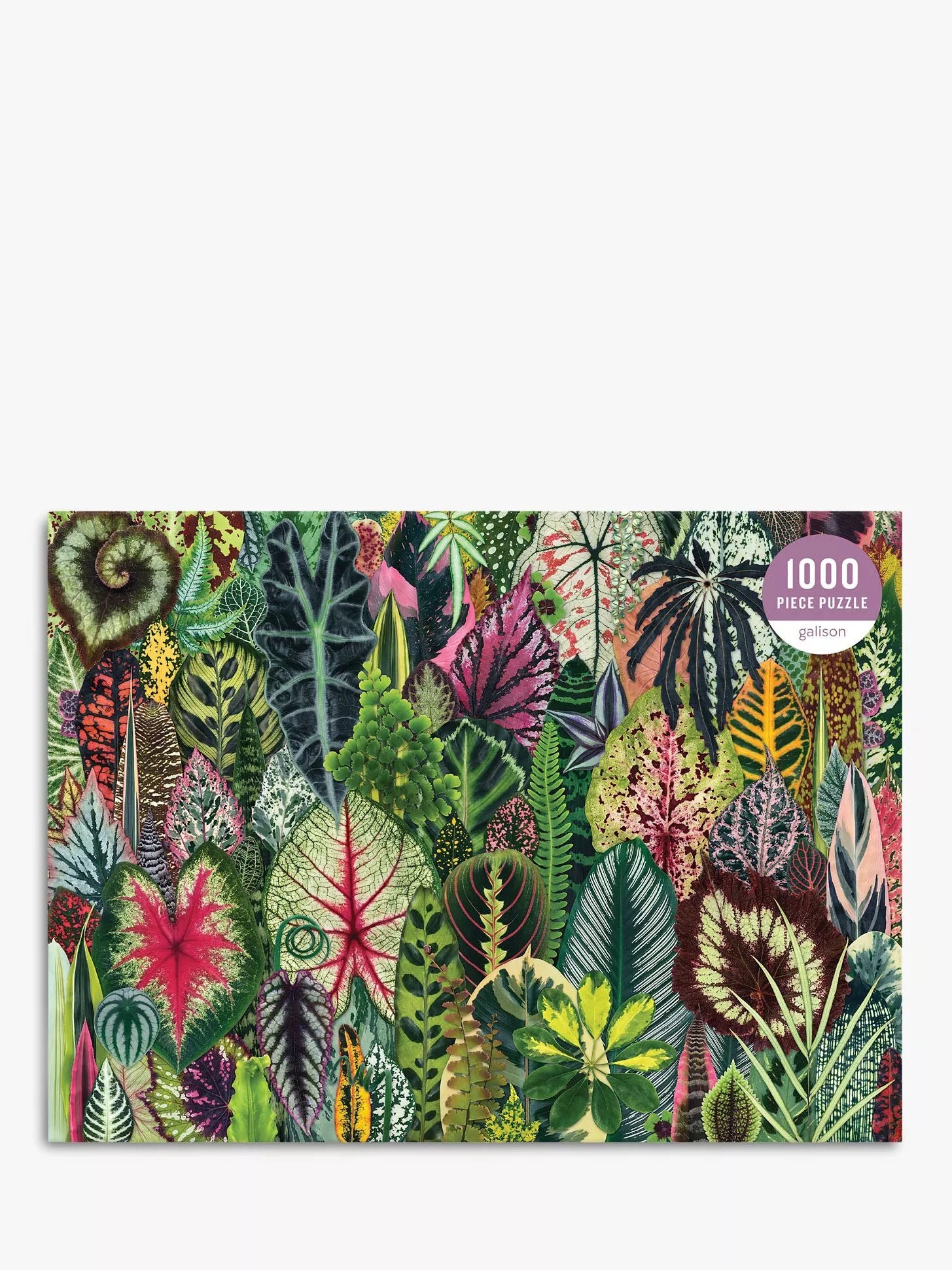 Galison Houseplant Jungle 1000-piece puzzle, imported from the UK