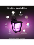 Philips Hue Econic smart outdoor wall lantern, imported from the UK