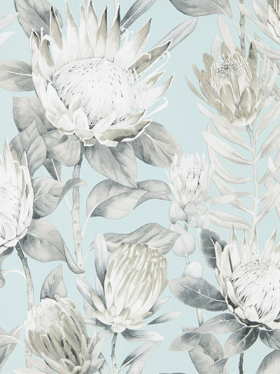 John Lewis King Protea Floral Design Statement Wallpaper- Buy online at McGrocer