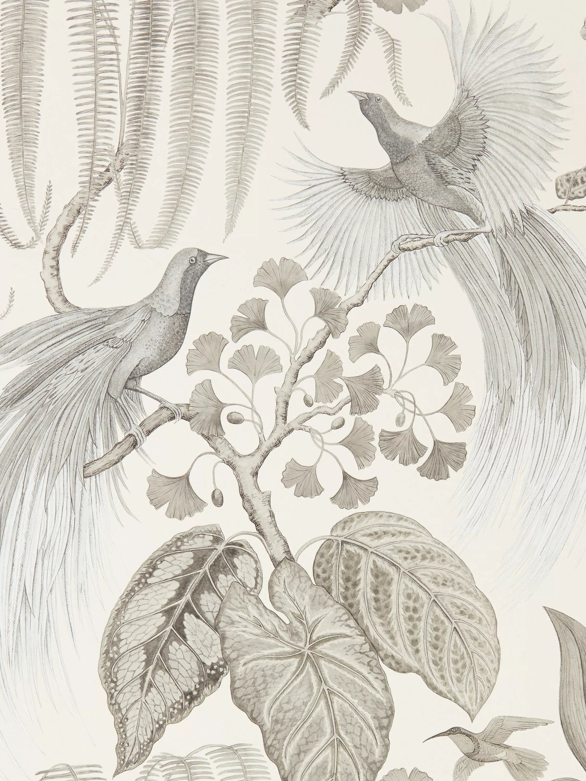 Sanderson Bird of Paradise wallpaper (British brand)