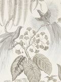 Sanderson Bird Of Paradise Wallpaper