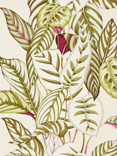 John Lewis Sanderson Calathea Patterned Wallpaper- Buy online at McGrocer