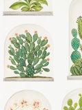 Sanderson Terrariums Wallpaper (British brand)