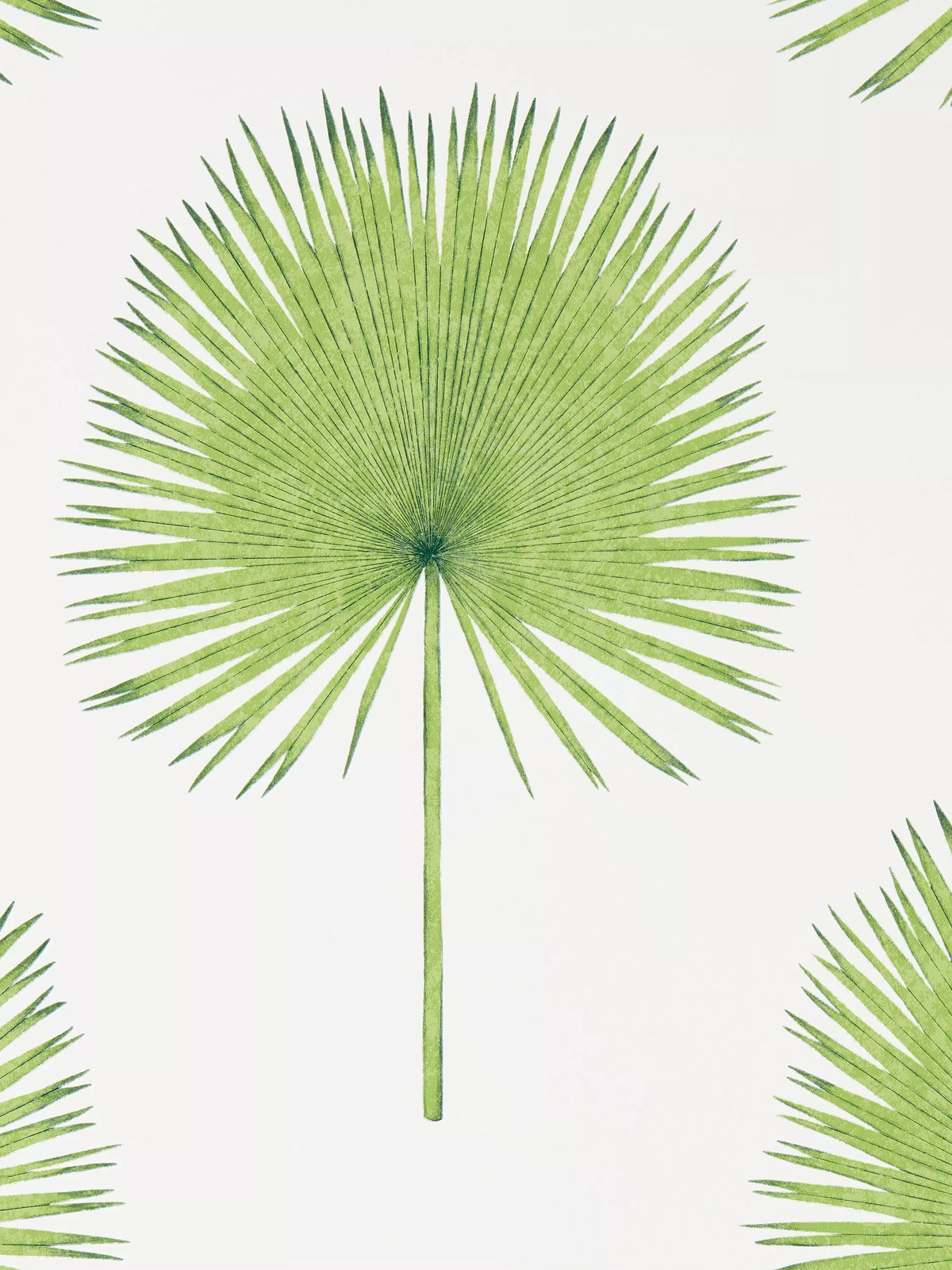 Sanderson Fan Palm wallpaper 10m x 52cm, UK version