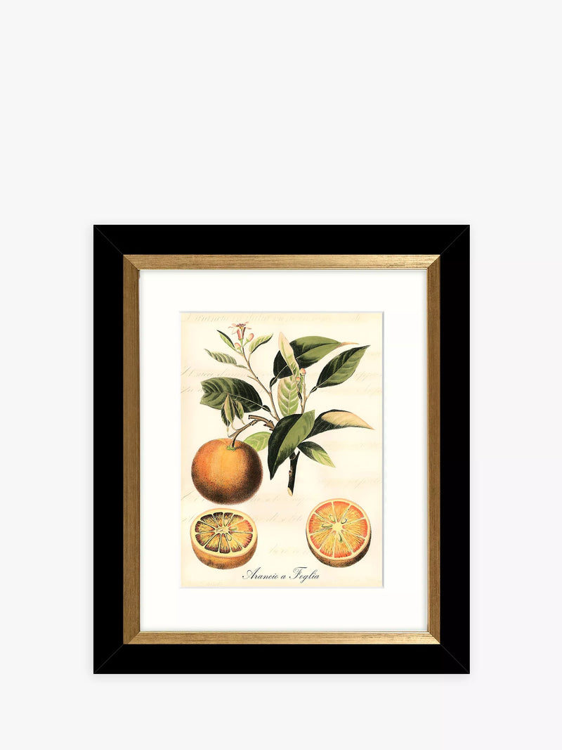 John Lewis Tuscan Fruit framed prints set of 4 - (British brand)