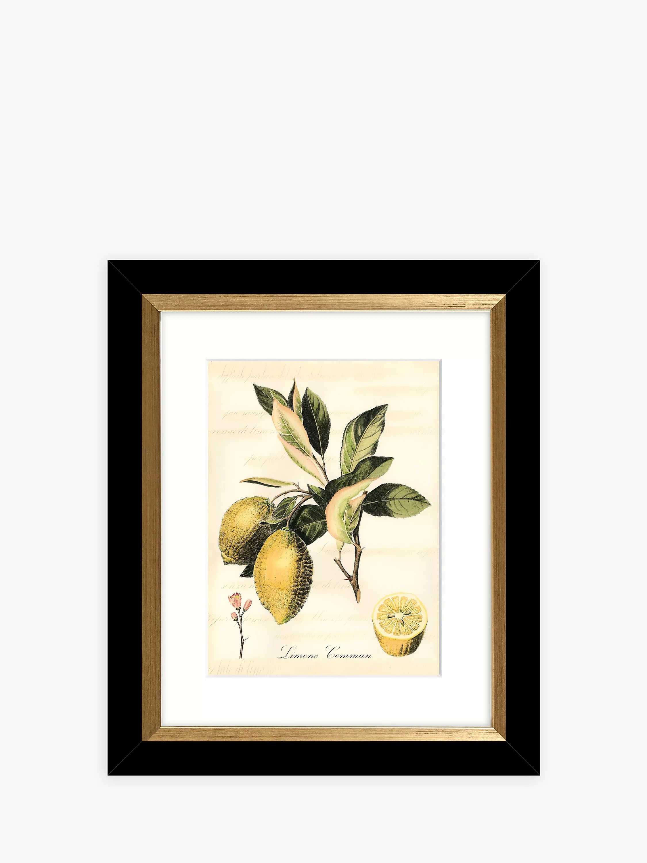 John Lewis Tuscan Fruit framed prints set of 4 - (British brand)