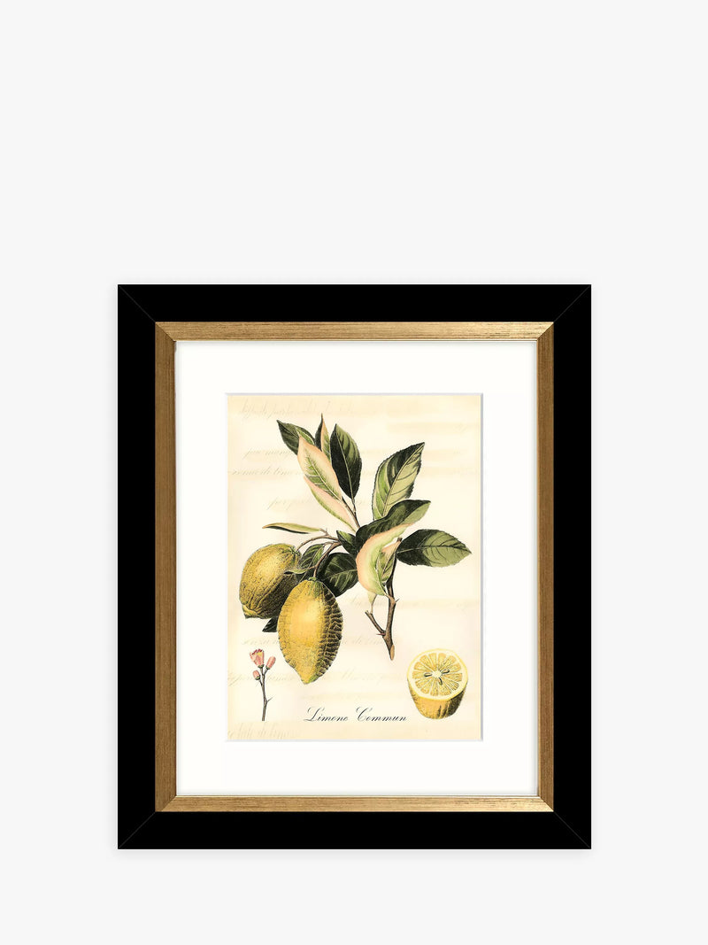 John Lewis Tuscan Fruit framed prints set of 4 - (British brand)