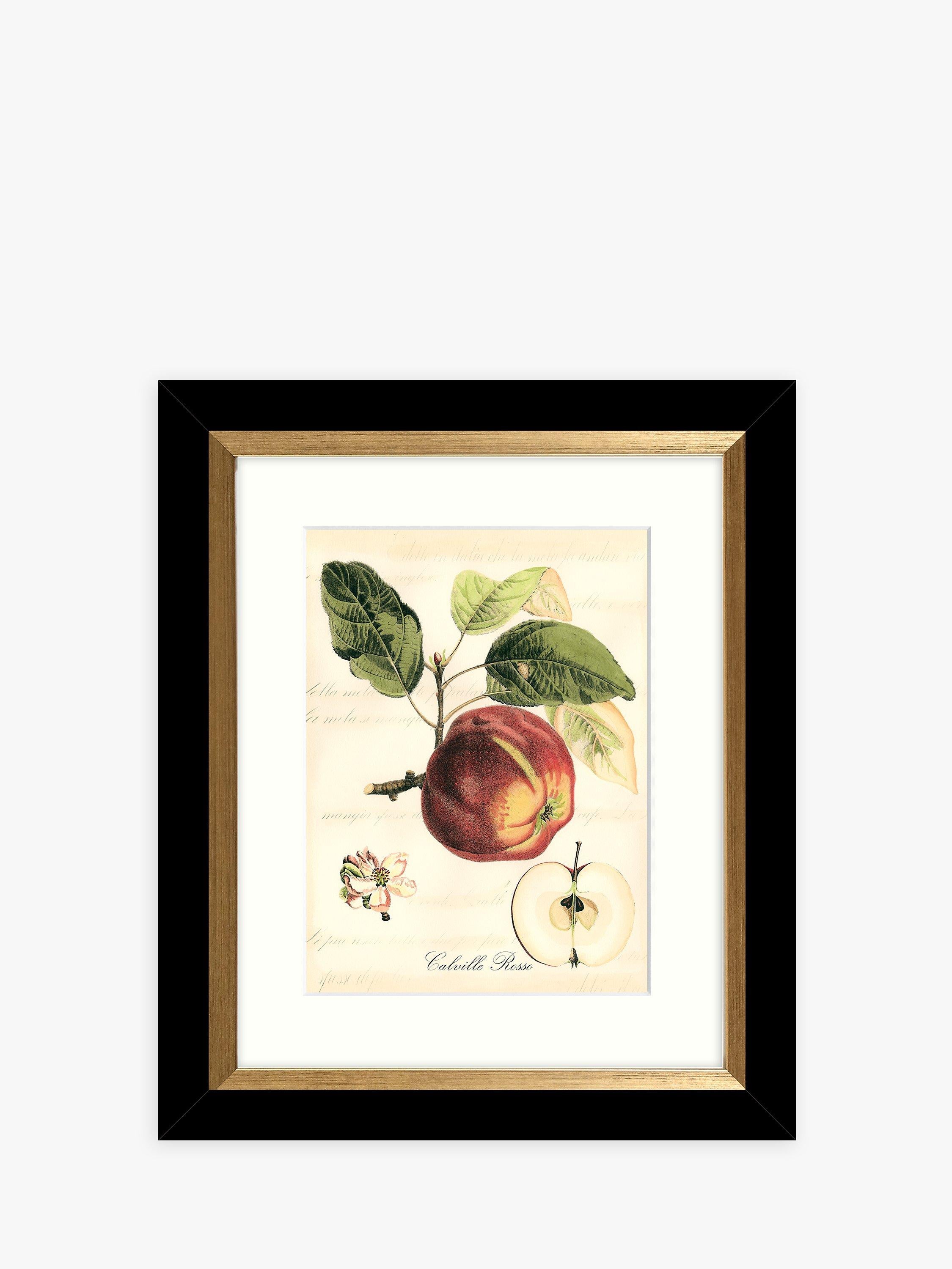 John Lewis Tuscan Fruit framed prints set of 4 - (British brand)