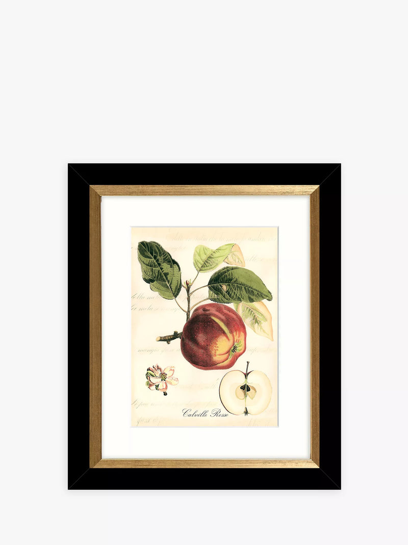 John Lewis Tuscan Fruit framed prints set of 4 - (British brand)