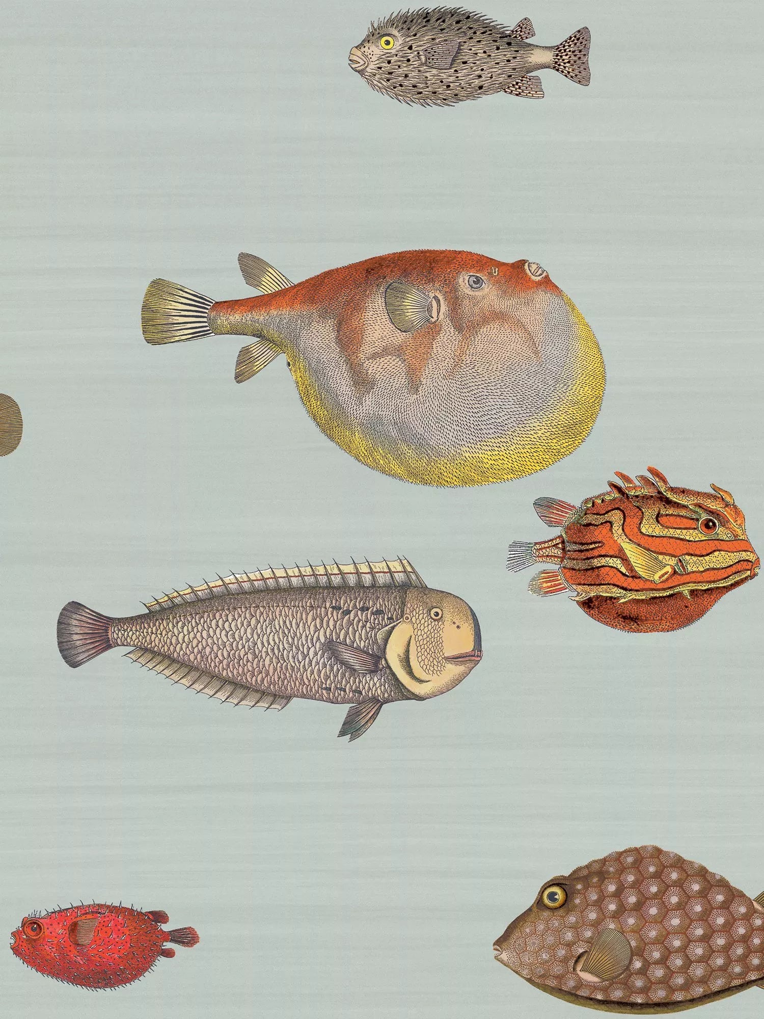 Cole & Son Acquario Wallpaper