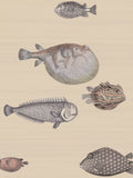 Cole & Son Acquario Wallpaper