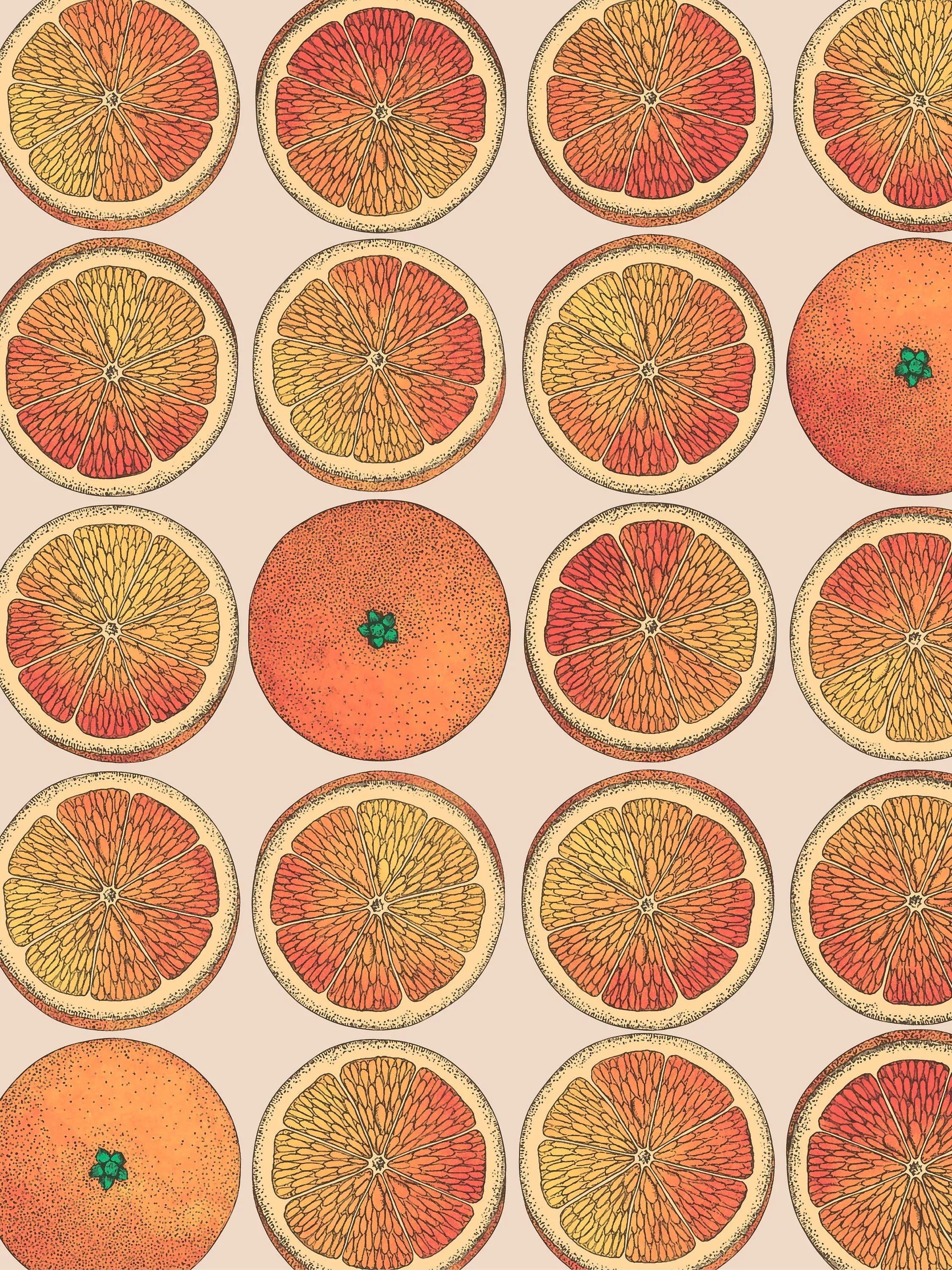 Cole & Son Arance Wallpaper Roll 10m x 52cm