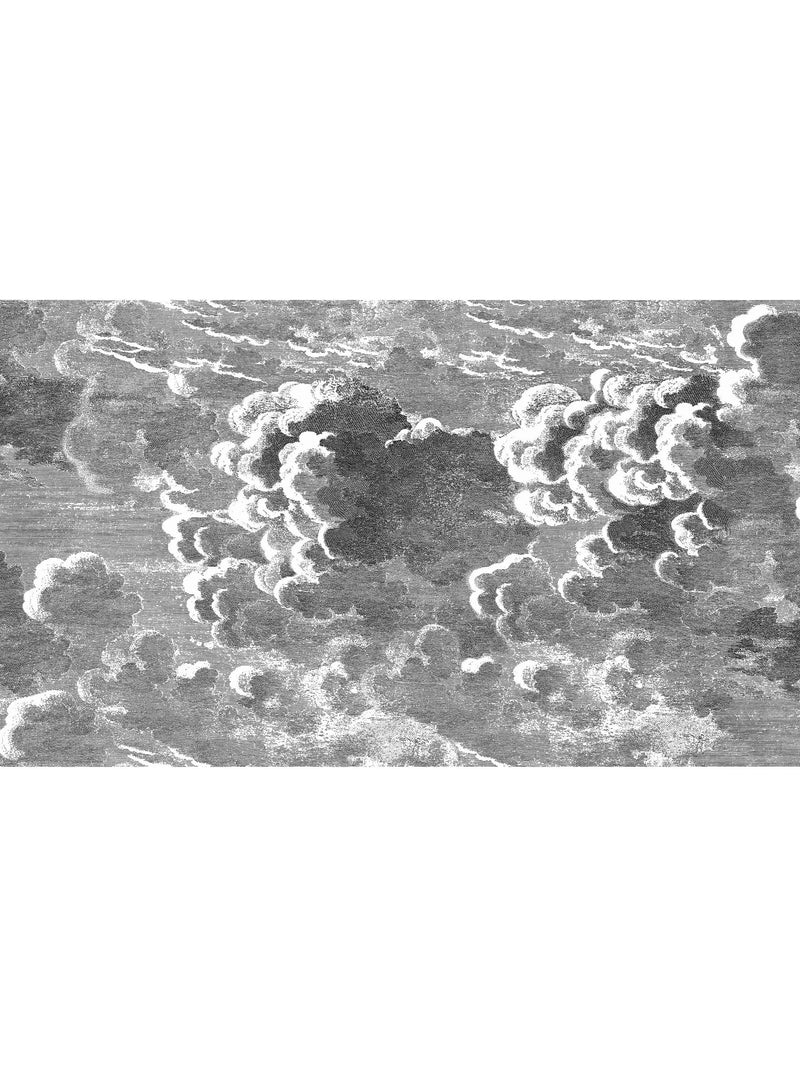 Cole & Son Nuvolette wallpaper two-roll set, imported from the UK