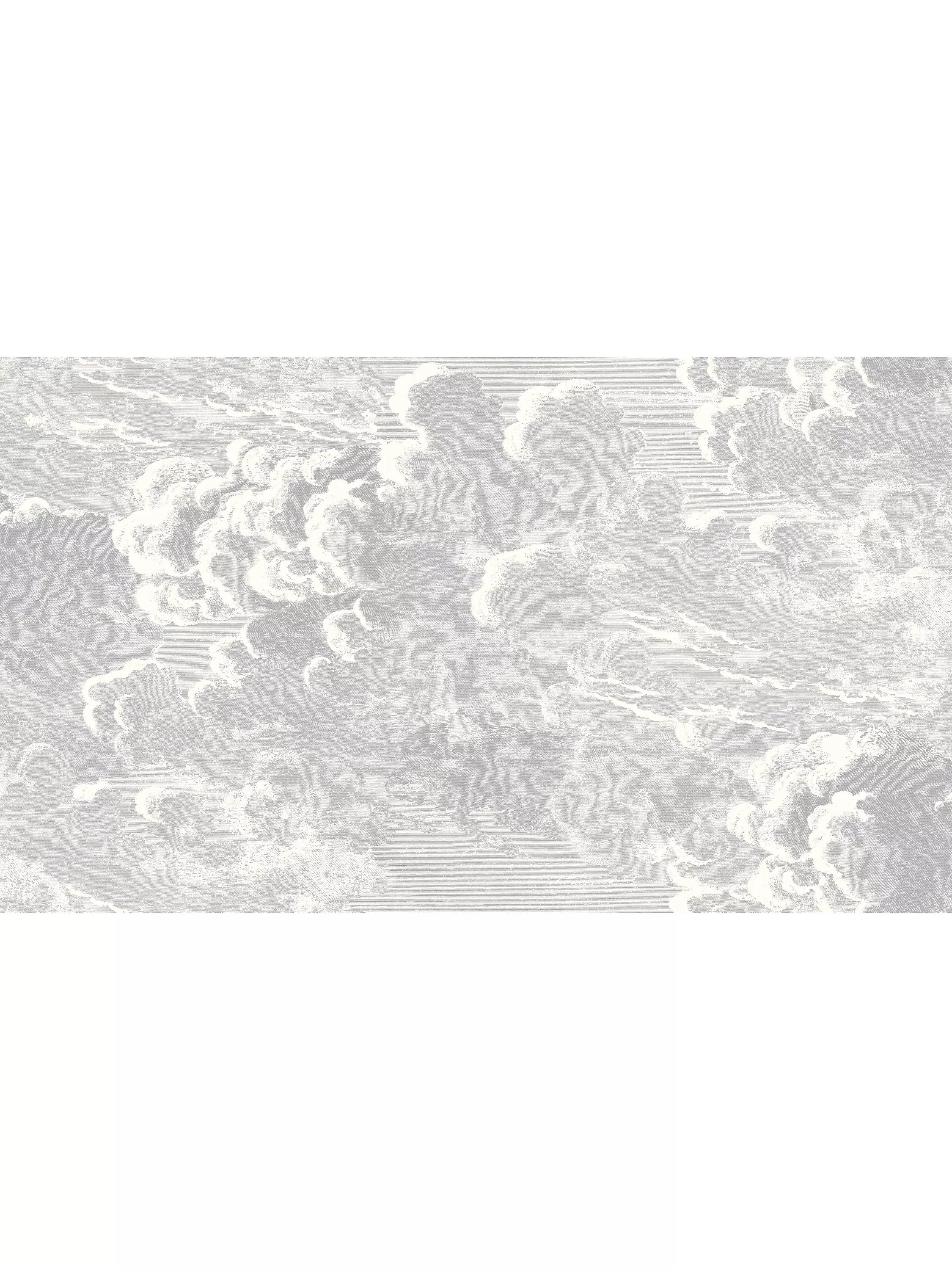 Cole & Son Nuvolette Wallpaper Set