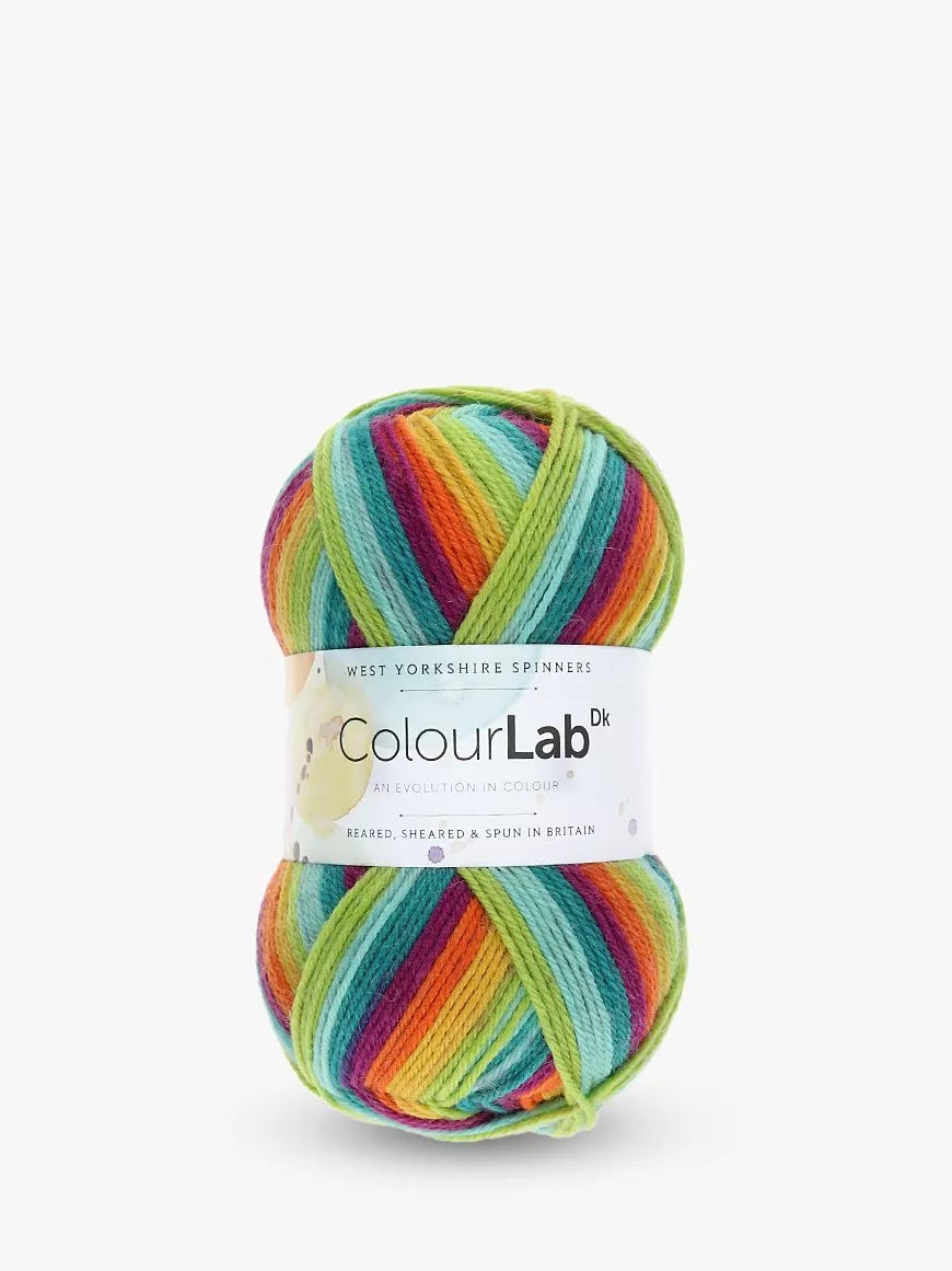 West Yorkshire Spinners ColourLab DK Yarn, 100g