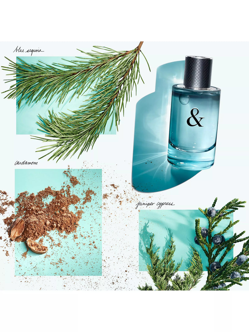 Tiffany & Love For Him EDT 90ml, imported from the UK