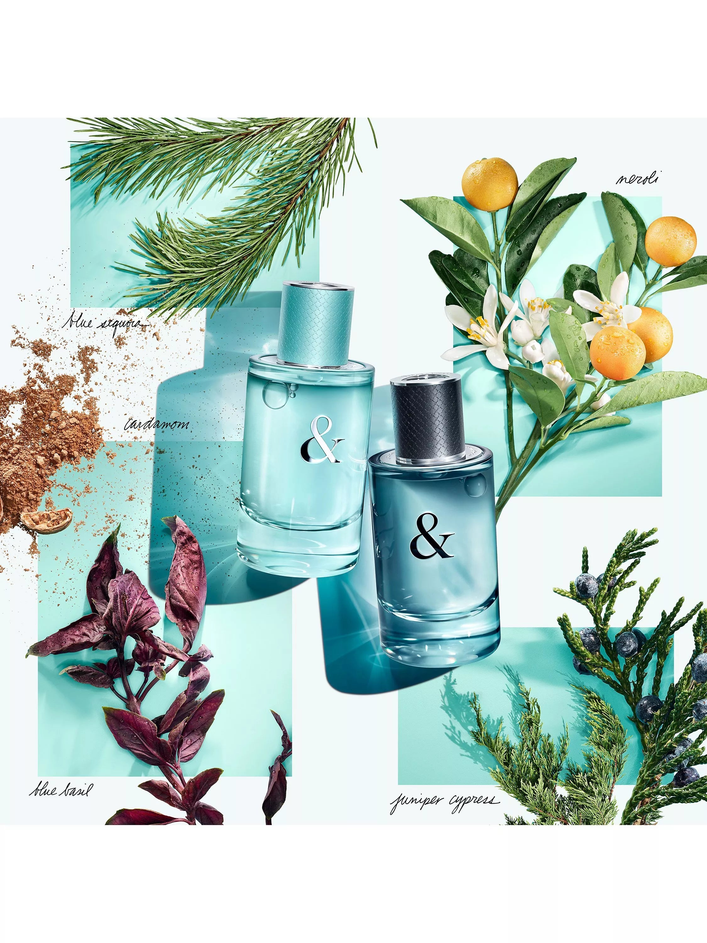 Tiffany & Love For Him EDT 90ml, imported from the UK