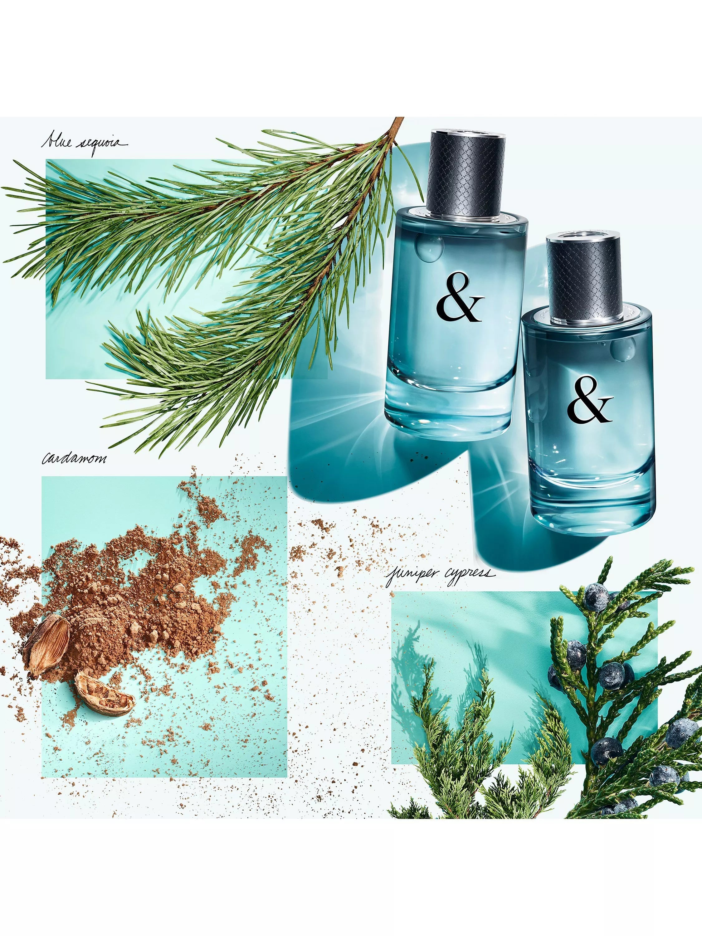Tiffany & Love For Him EDT 90ml, imported from the UK