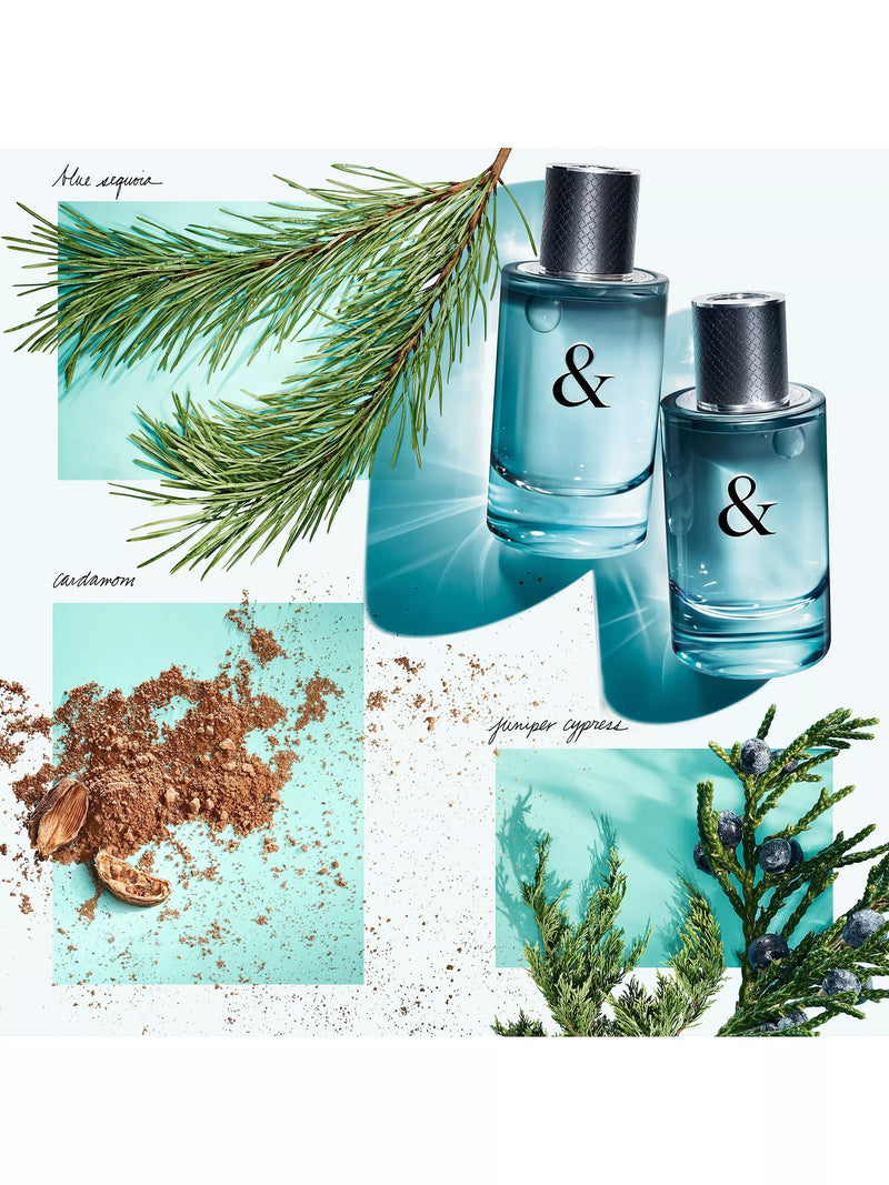Tiffany & Love For Him EDT 90ml, imported from the UK