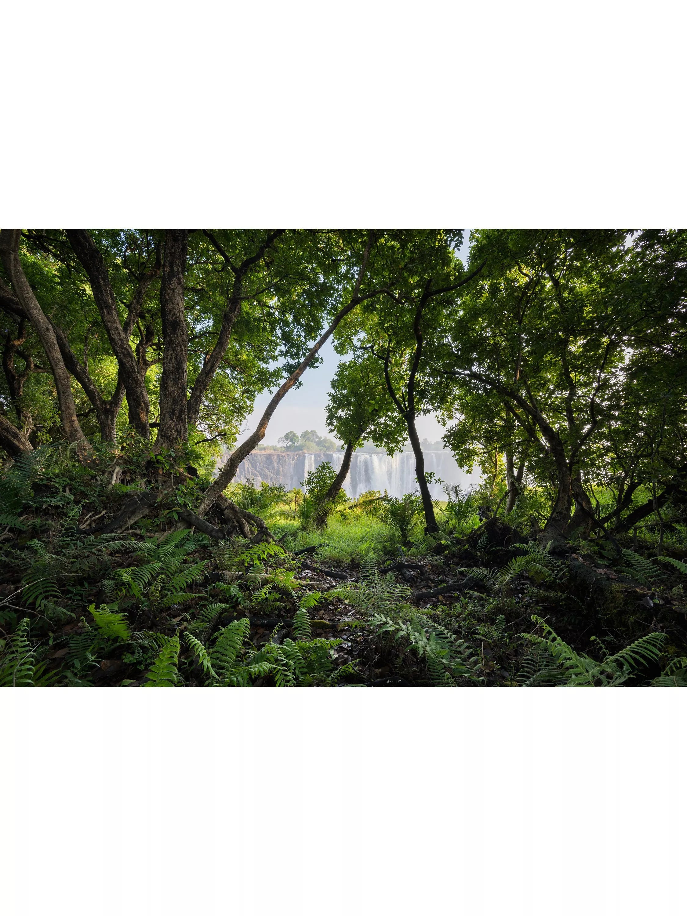 Nikon Z 14-30mm f/4 S ultra wide lens, imported from the UK