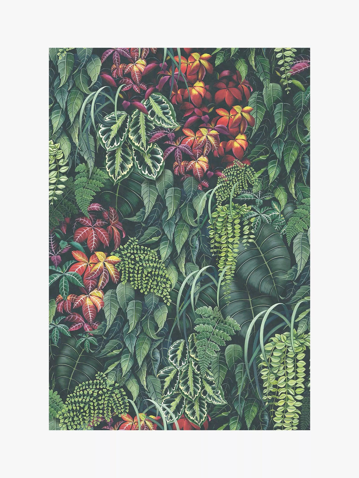 Osborne & Little Green Wall Wallpaper, Emerald Green/Red