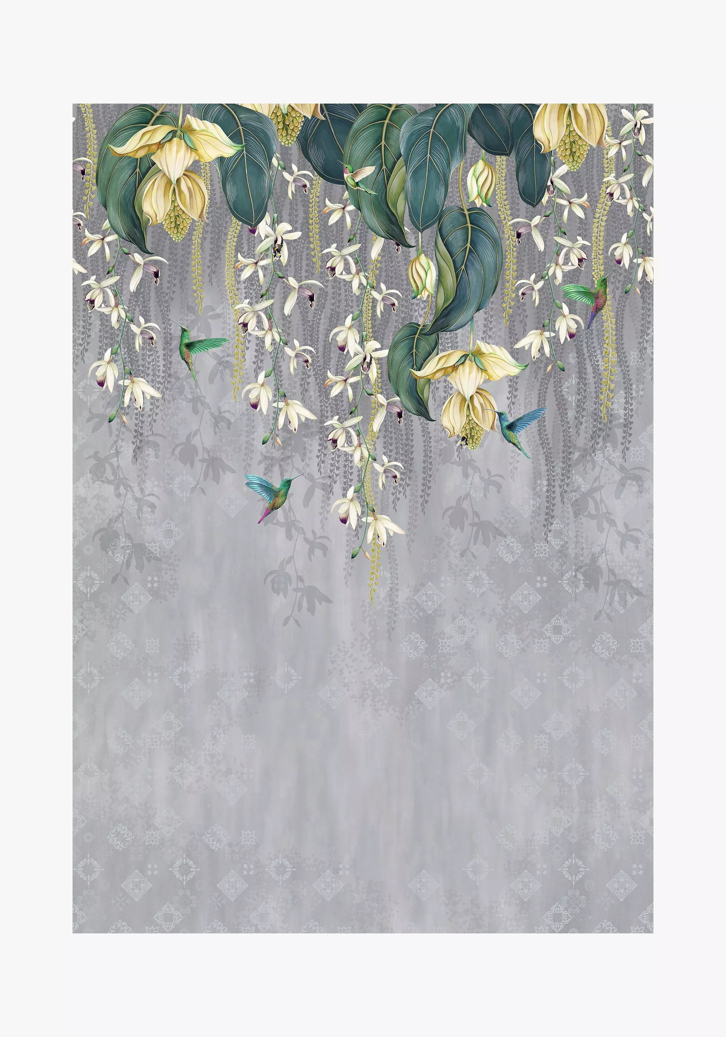 Osborne & Little Trailing Orchid Wallpaper, Grey/Lemon