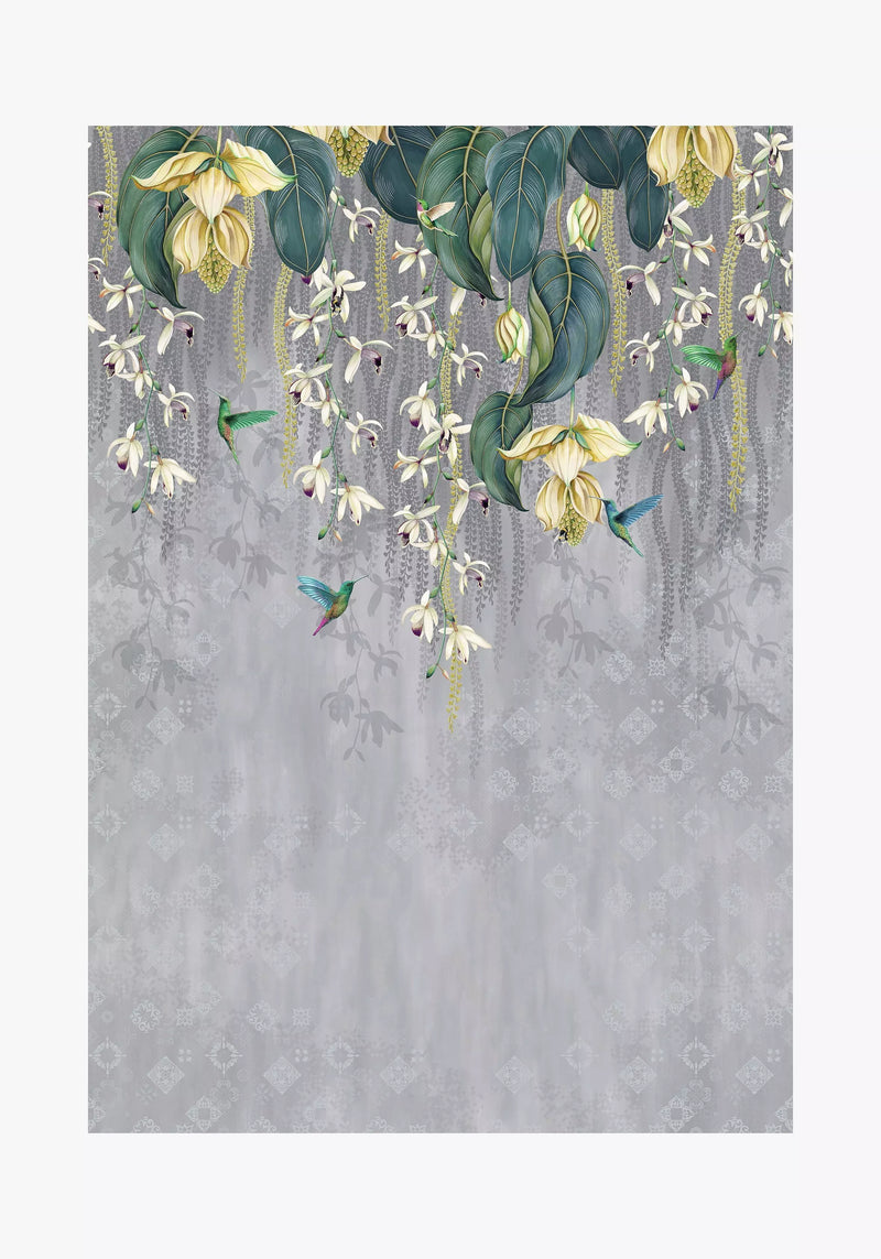 Osborne & Little Trailing Orchid Wallpaper, Grey/Lemon